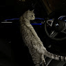 Аватар Nolik Kaspesky