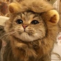 Аватар Даниил Павлюк