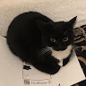 Аватар Андрей_42