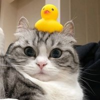 Аватар Савелий Кутепов