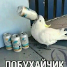 Аватар Бой Сима