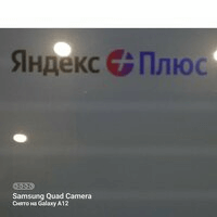 timofejpashenko