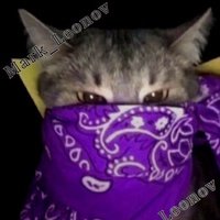 Аватар Марк Леонов