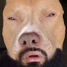 Аватар Максим Макаренко_2