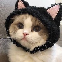 Аватар Павел Семёнов