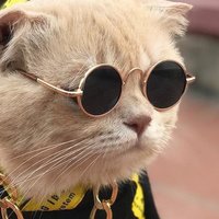 Аватар Усеин Усеинов