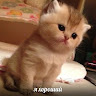 Аватар G G