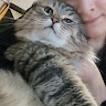 Аватар Alex_20