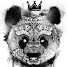 Аватар Black Panda