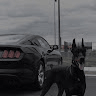 Аватар FasterMoas