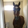 Аватар Максим Чалий