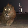 Аватар Умала Алибахарчиев