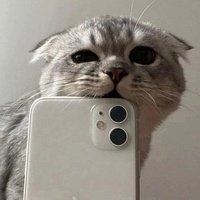 Аватар Илья Монтанов