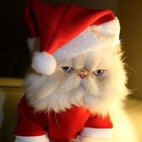 Александр Потапов