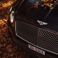 Аватар Денис Морозов