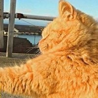 Аватар Егор Дегтярёв
