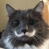 Аватар Илья Дубровский
