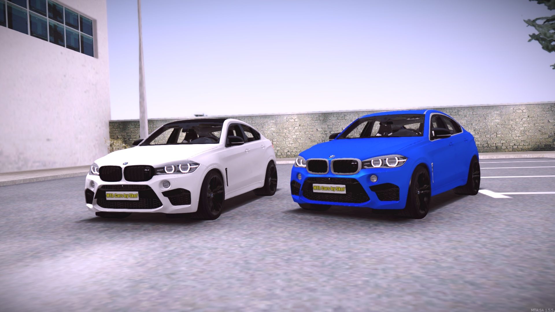 BMW X6M