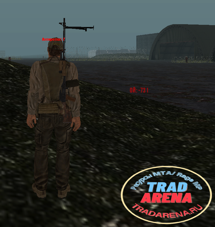 Дамаг (DAYZ)