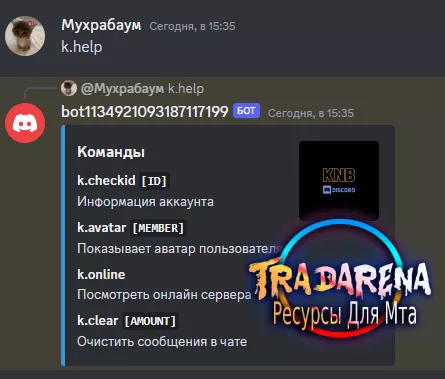 Дискорд бот для копий НРП